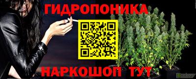 MDMA Premium VHQ Сланцы