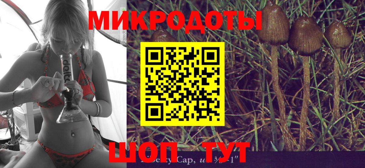 Псилоцибиновые грибы мицелий Орёл