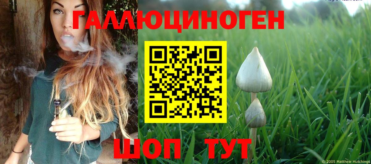 Псилоцибиновые грибы мицелий  Вход с VPN  Псилоцибиновые грибы прущие грибы  дарнет шоп  Орёл 